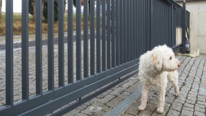 Díky svažitému terénu je pod nosný C profil je uchycen podélný demontovatelný profil, který zabraňuje podlezení psa pod bránou