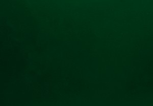 17 - jedlově zelená